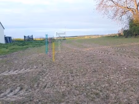 beau terrain à bâtir plat