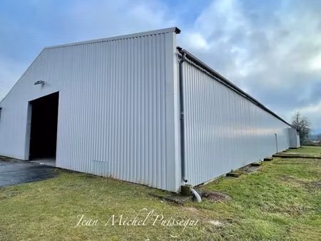 location locaux professionnels 2 pièces 1000 m² à villeneuve-de-rivière (31800)  2 780 €