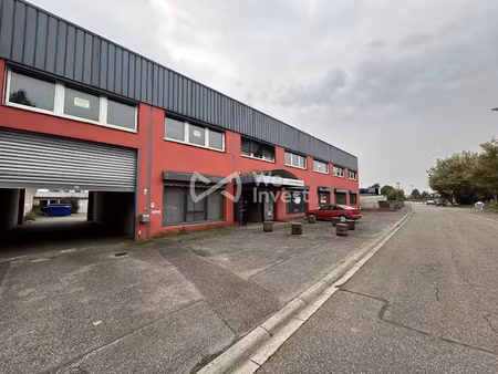 location locaux professionnels 450 m² à schiltigheim (67300)  3 325 €