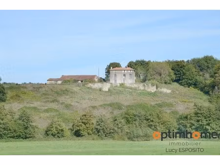 la maison sur la colline – 5 hectares asnois (86)