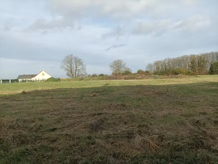 terrain a bâtir d'une superficie de 1 175 m2 environ. plat -