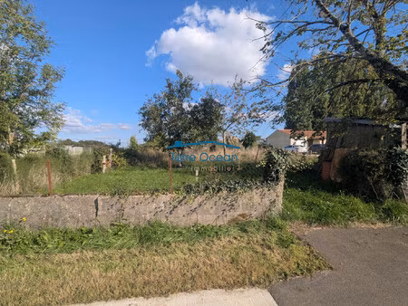 terrain à vendre rioux