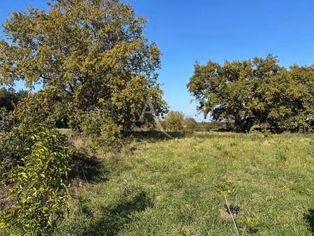 vente terrain à ligné (44850) : à vendre / 388m² ligné