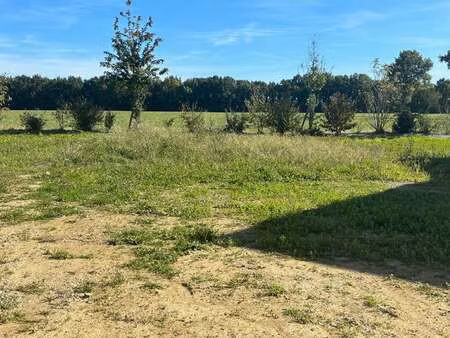 vente terrain à saint-mars-du-désert (44850) : à vendre / 462m² saint-mars-du-désert