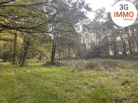 vente terrain à grand-champ (56390) : à vendre / grand-champ