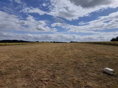 grand terrain constructible de 29 960 m² avec piste d’aviation – idéal promoteur immobilie