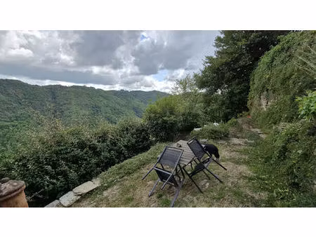 vente maison 9 pièces 230 m² lacroix-barrez (12600)