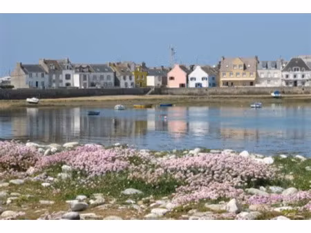 vente maison 3 pièces 42.5 m² à ile-de-sein (29990)  199 690 €