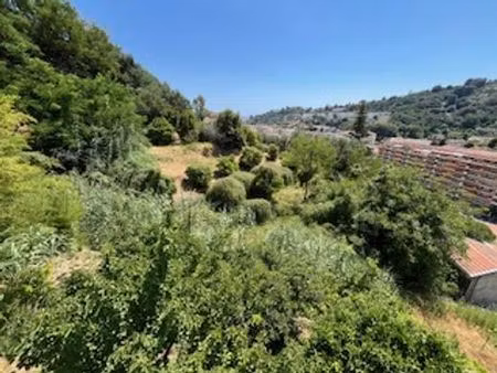 terrain de 6846 m2 en vente - menton  provence-alpes-côte d'azur