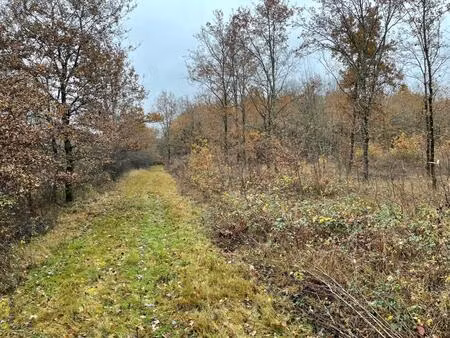 achat terrain 32 825m² chatres sur cher 41320