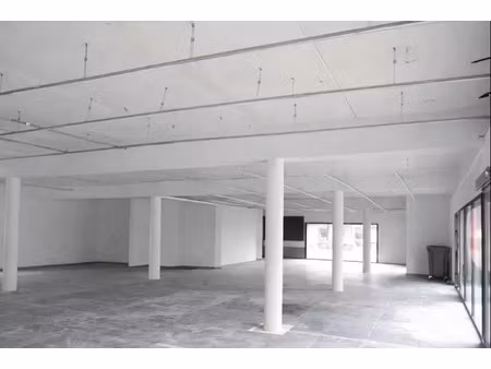 local commercial à louer plescop