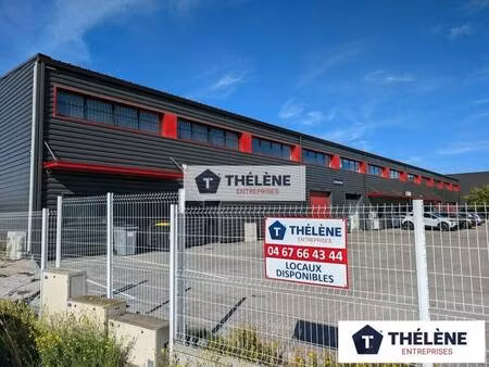 thelene entreprises
