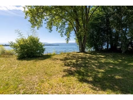 annonce terrain à vendre