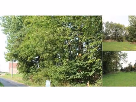 terrain à vendre à rue de scaubecq 10 wannebecq (vbd37363)
