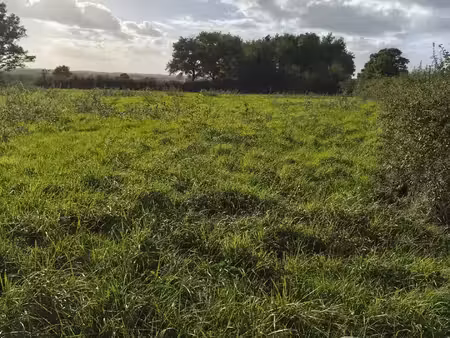 vente terrain 4300 m² ceaulmont (36200)