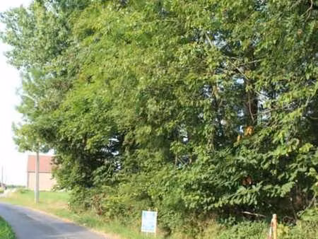 terrain (lot 1) d'une contenance de 18 ares 23 centiares