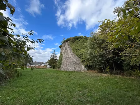 vente terrain 1536 m² à montjean-sur-loire (49570)  39 990 €