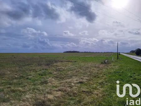 vente terrain 1740 m² à montcorbon (45220)  28 000 €