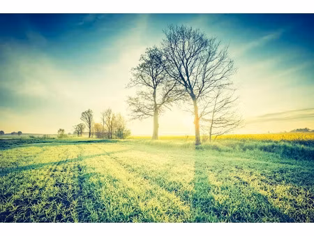 vente terrain 1000 m² à cormeray (41120)  38 000 €