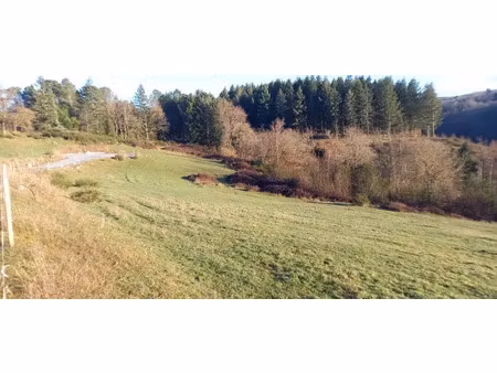 vente terrain 650 m² à payrin-augmontel (81660)  38 000 €