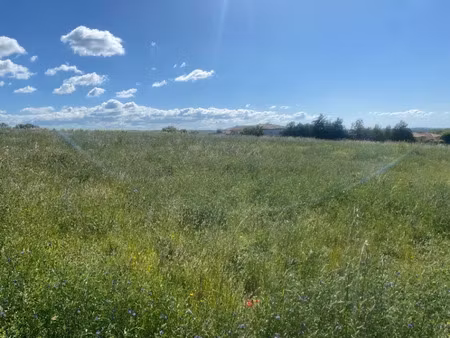 vente terrain 300 m² à autignac (34480)  70 000 €