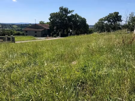 vente terrain 744 m² à castres (81100)  78 120 €