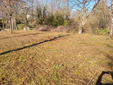vente terrain 1300 m² à lescout (81110)  59 000 €
