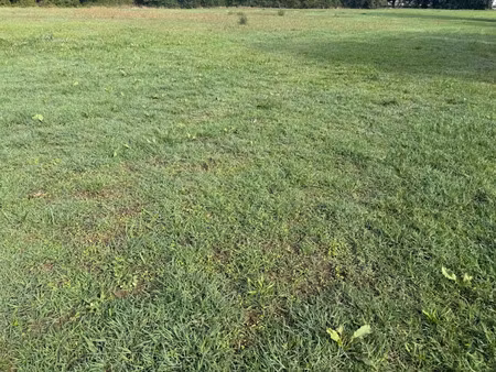 vente terrain 390 m² à aucamville (82600)  66 000 €