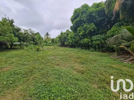 vente terrain 1196 m² à le moule (97160)  110 000 €