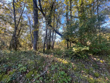 a vendre 13 hectares de terrains boisés commune du change à bassillac et auberoche