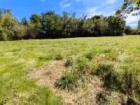 vente terrain 18331 m² à labarthe-sur-lèze (31860)  310 000 €