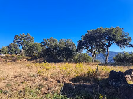 vente terrain 1516 m² à les adrets-de-l'esterel (83600)  345 000 €