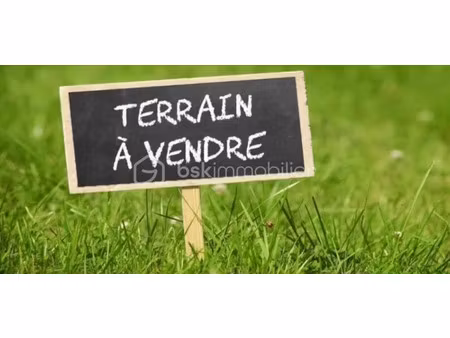 vente terrain 1310 m² à maison-rouge (77370)  95 000 €