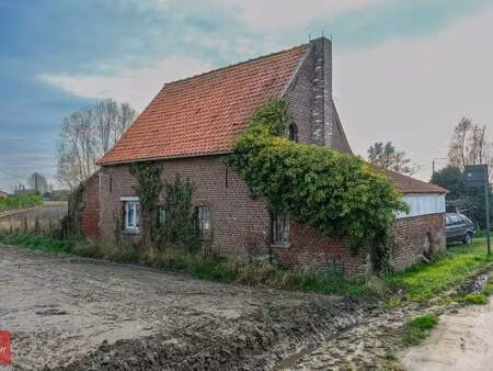 maison à vendre à beveren € 300.000 (l1tc3) - immo dochy | zimmo