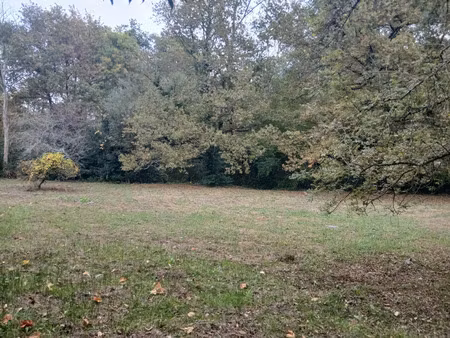 vente terrain 3006 m² à créon (33670)  400 000 €