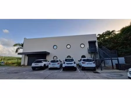 bâtiment commercial ou professionnel neuf de 190m2 - trianon  martinique
