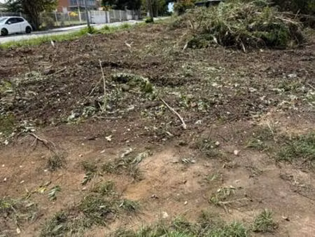 diamant terrains plats a vendre  martinique