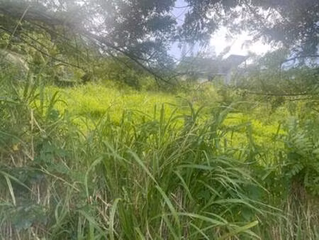 beau terrain de 922 m² à vendre à sainte luce  martinique