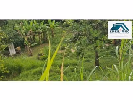 a vendre terrain de 1328m² au francois  martinique