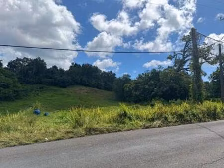 terrain constructible à vendre aux abymes  guadeloupe