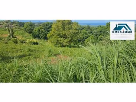 terrain à vendre dans lotissement  martinique