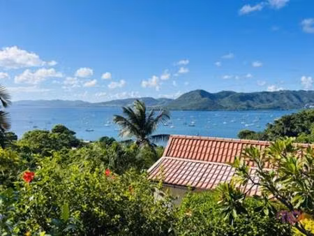 murs et fonds de commerce de conciergerie  martinique