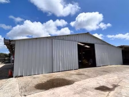 entrepôt / local industriel 400 m2 matoury  guyane