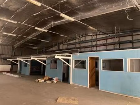 local a louer beau volume  martinique