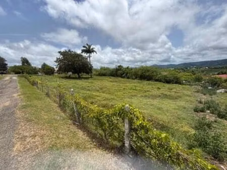 vente terrain 1189 m2 à rivière salée  martinique