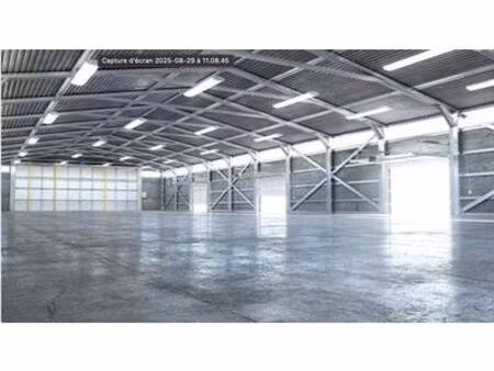 a vendre locaux d'activité saint-laurent-du-maroni  guyane