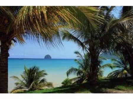 diamant ensemble .villa t4 + t3/ piscine + local loué 3000 €  martinique