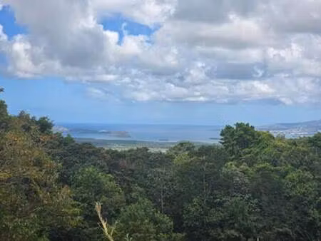 beaux terrains en vente avec vue mer  martinique