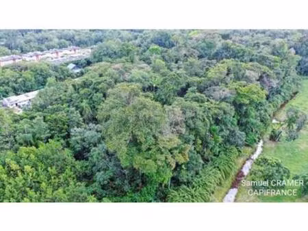 dpt guyane (973)  à vendre saint laurent du maroni terrain  guyane