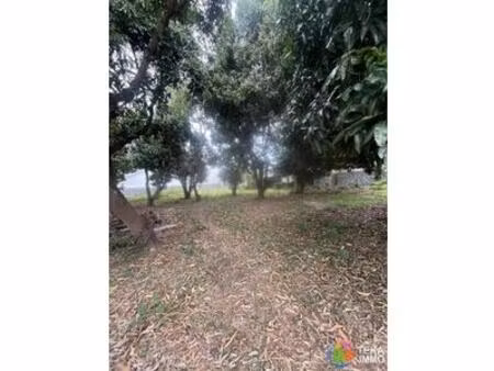 a vendre terrain 300m² centre ville saint paul  ile de la reunion  réunion